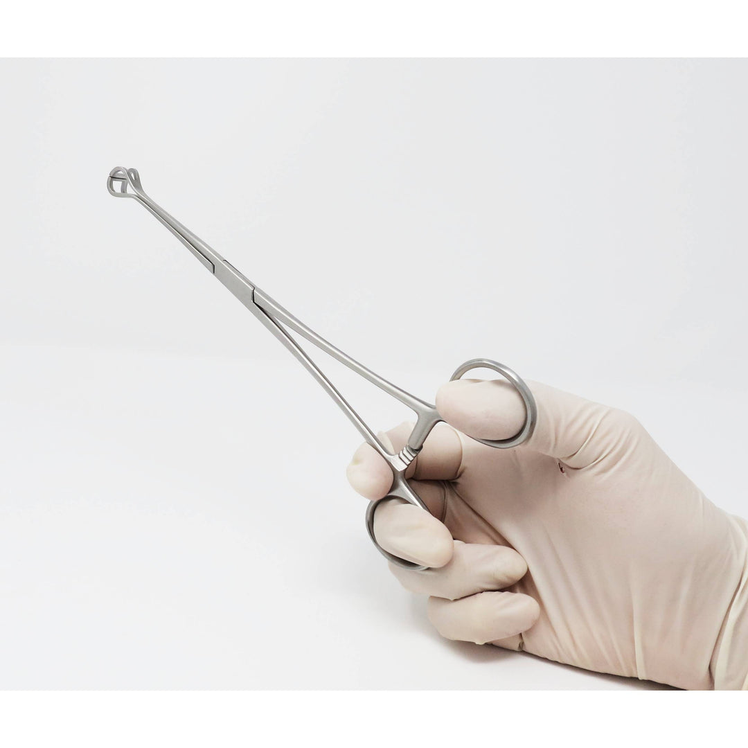 Pinza Babcock 9" Strumento Chirurgico Veterinario E Ginecologico, Marca ODM, Made In Pakistan, Nuovo - Foto 2